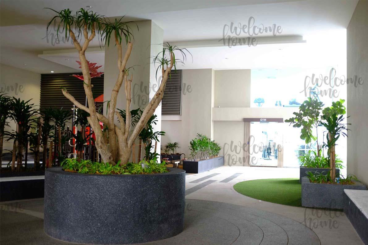 Paragon Suites Ciq Homestay By Welcome Home Johor Bahru Exteriör bild
